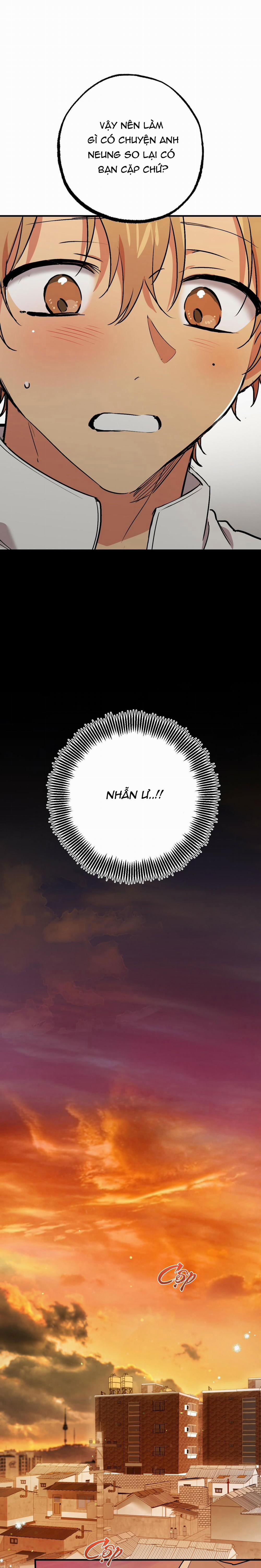 Những Chú Thỏ Của Habibi 42 trang 17