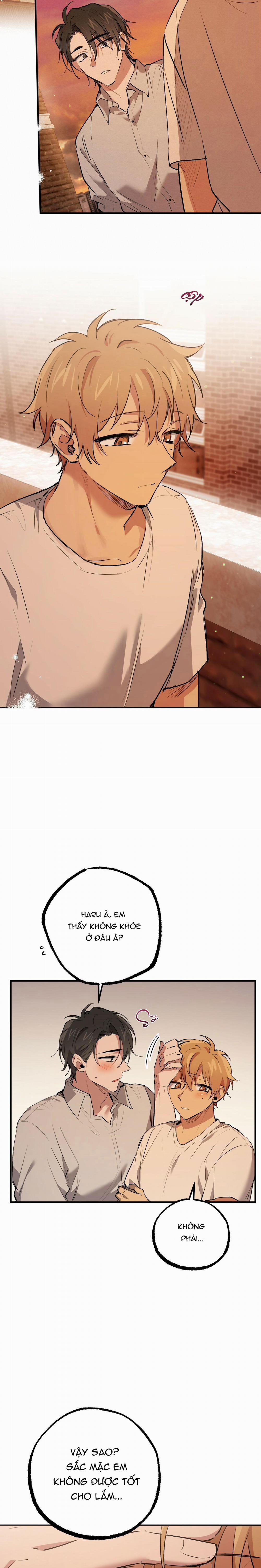 Những Chú Thỏ Của Habibi 42 trang 18