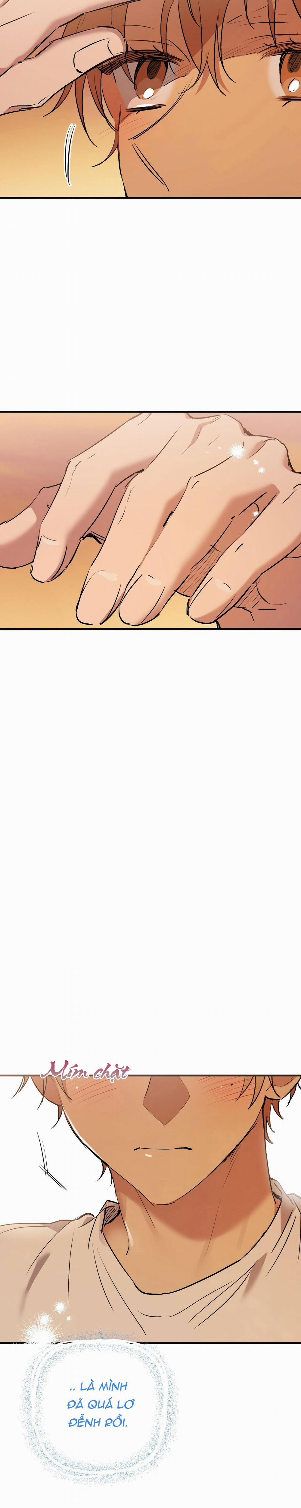 Những Chú Thỏ Của Habibi 42 trang 19