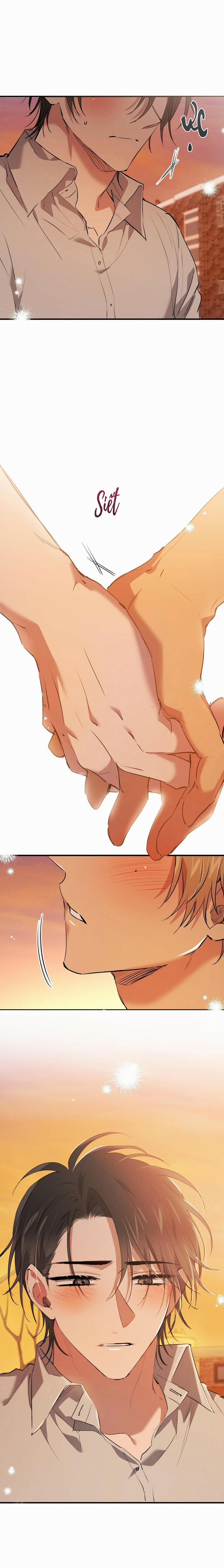 Những Chú Thỏ Của Habibi 42 trang 22