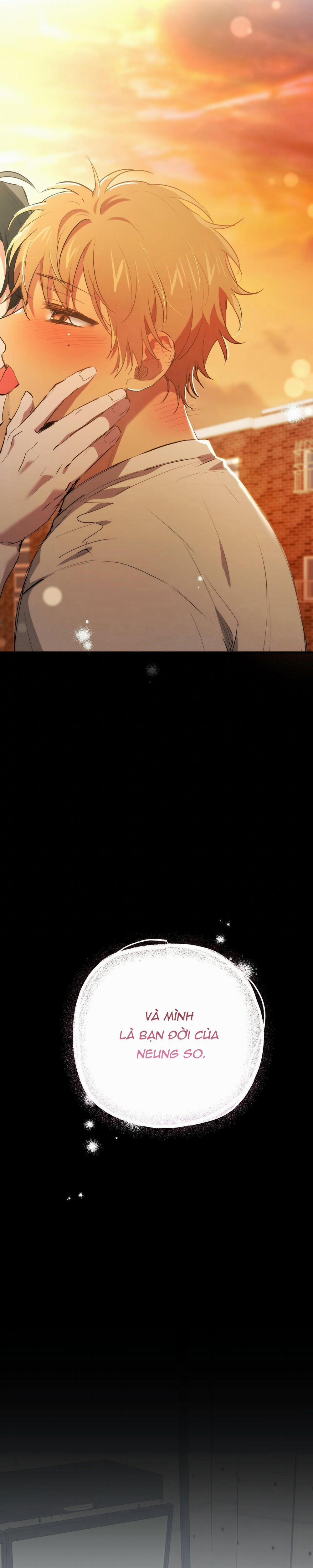 Những Chú Thỏ Của Habibi 42 trang 24