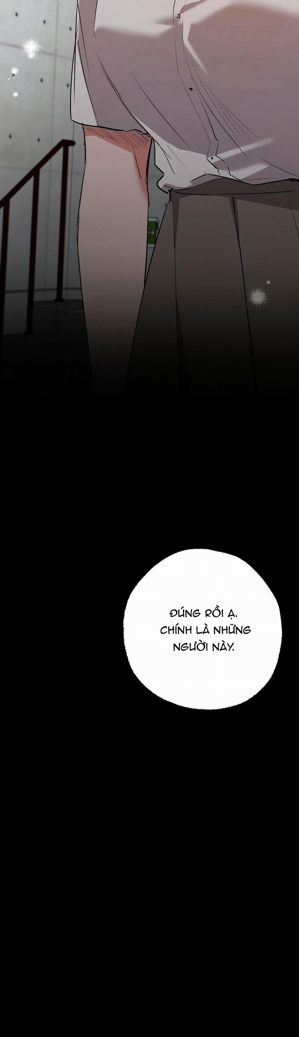 Những Chú Thỏ Của Habibi 42 trang 26