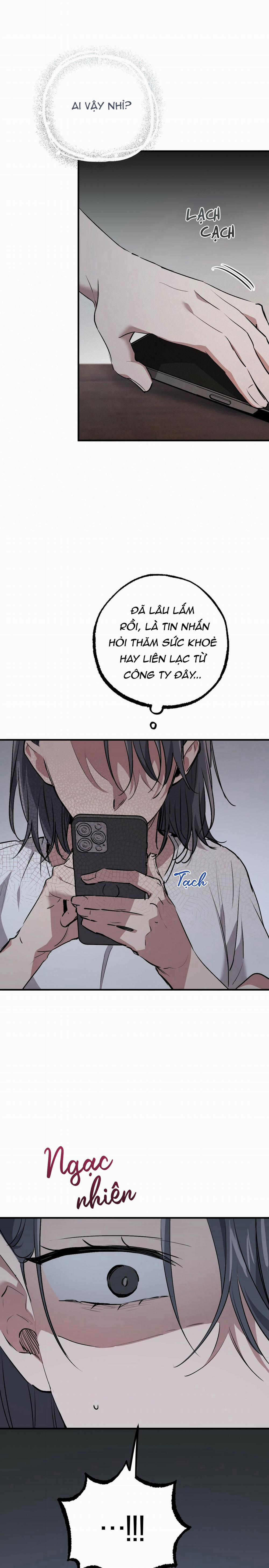 Những Chú Thỏ Của Habibi 42 trang 3