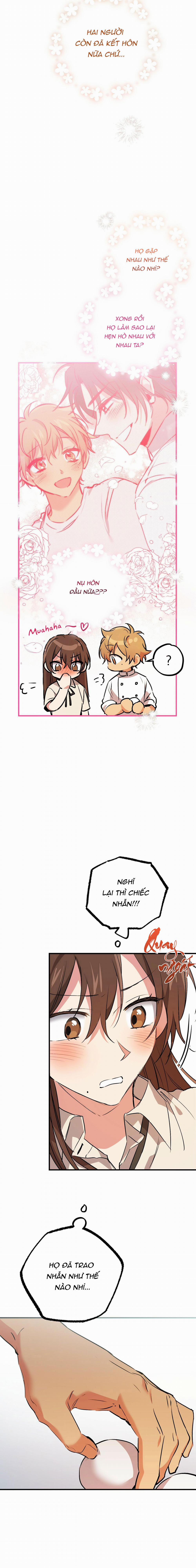 Những Chú Thỏ Của Habibi 42 trang 8