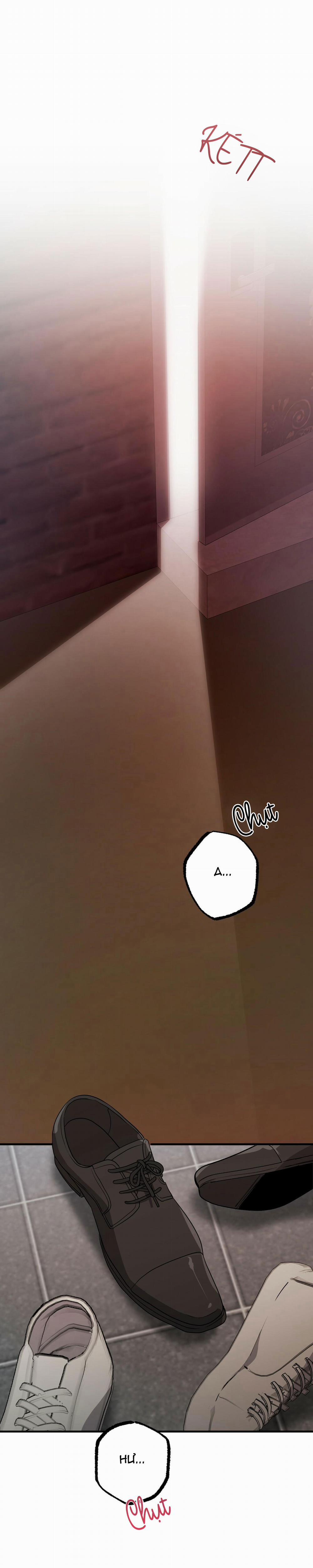 Những Chú Thỏ Của Habibi 43 trang 0