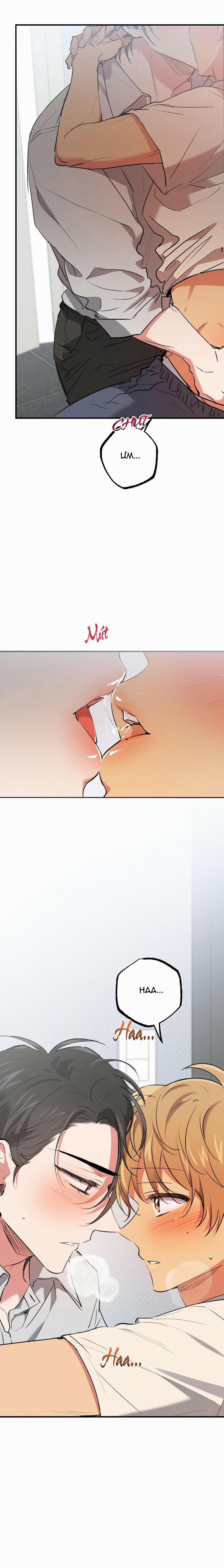 Những Chú Thỏ Của Habibi 43 trang 1