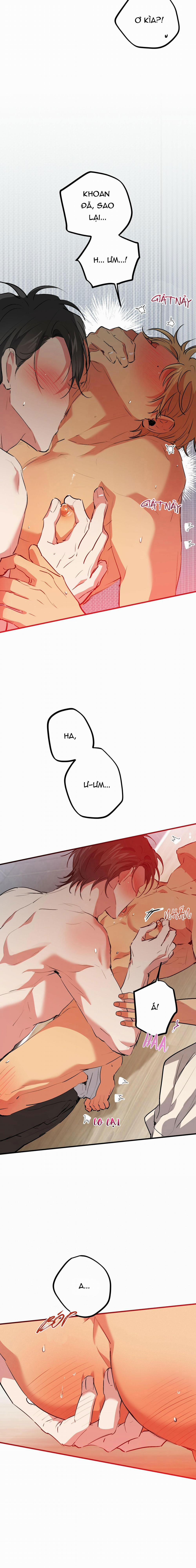 Những Chú Thỏ Của Habibi 43 trang 10