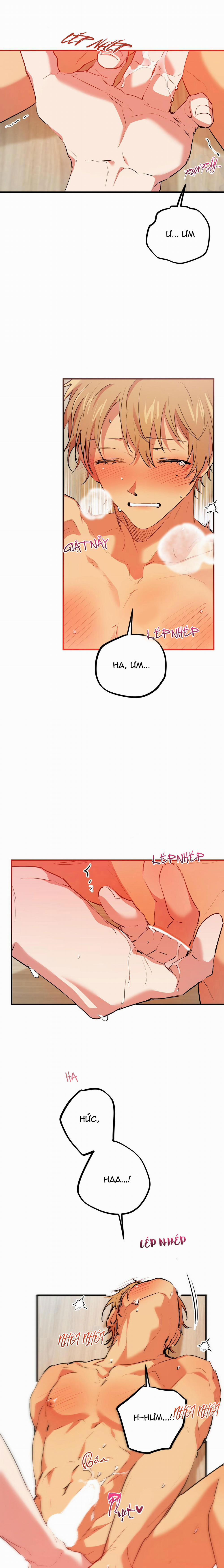 Những Chú Thỏ Của Habibi 43 trang 12