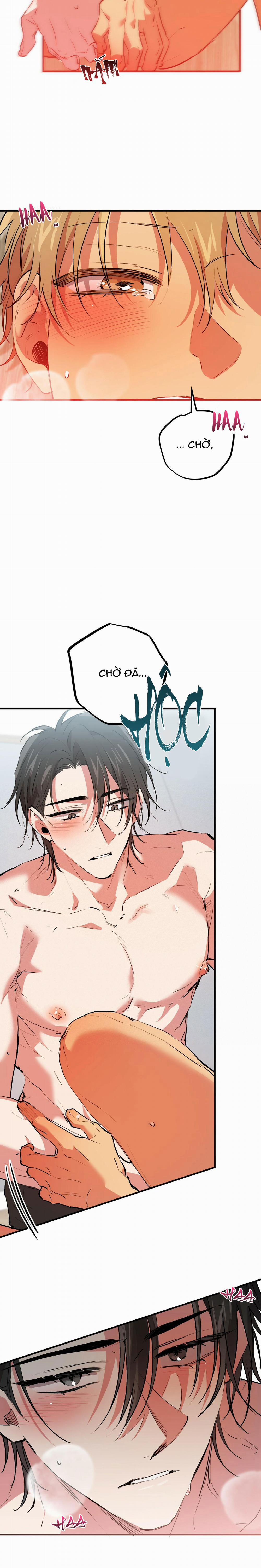 Những Chú Thỏ Của Habibi 43 trang 13