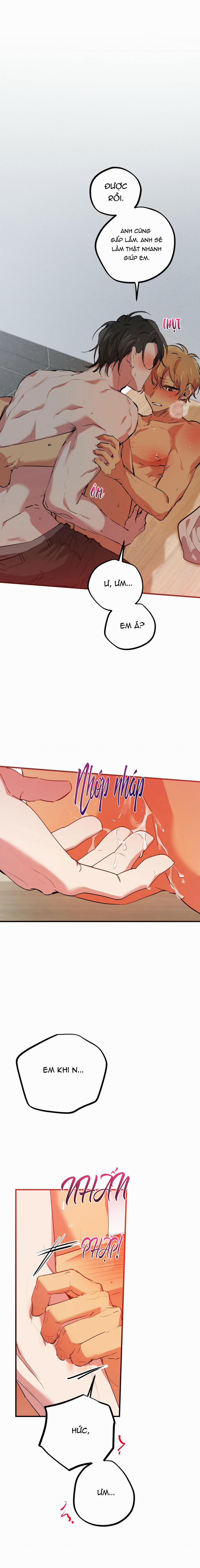 Những Chú Thỏ Của Habibi 43 trang 14