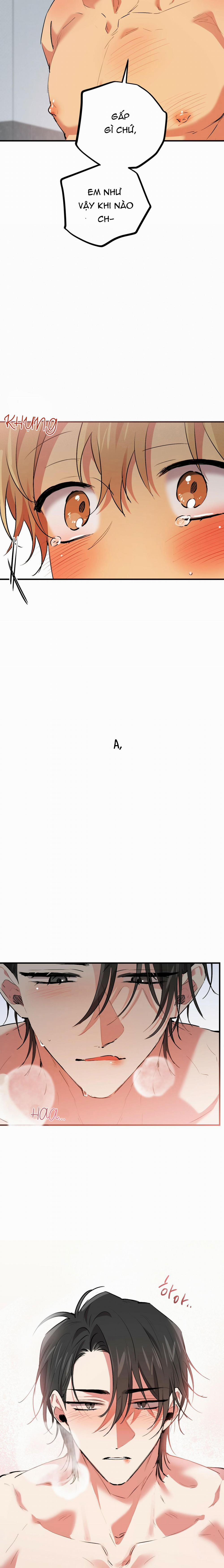 Những Chú Thỏ Của Habibi 43 trang 16