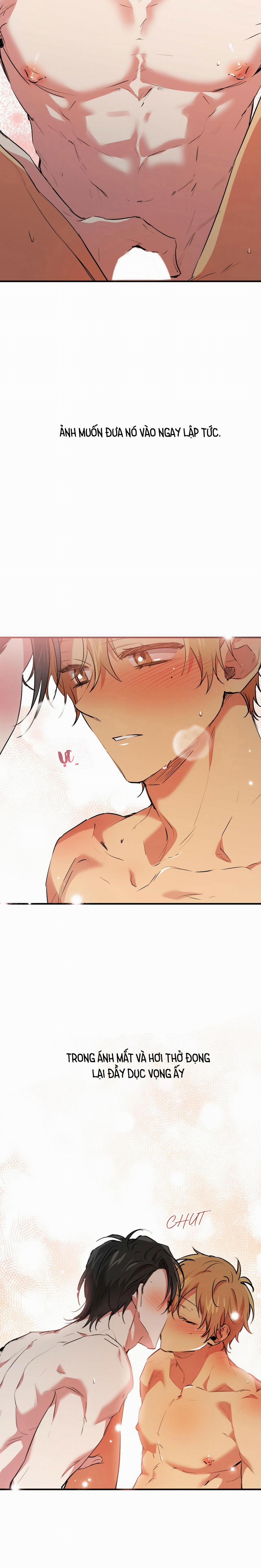 Những Chú Thỏ Của Habibi 43 trang 17