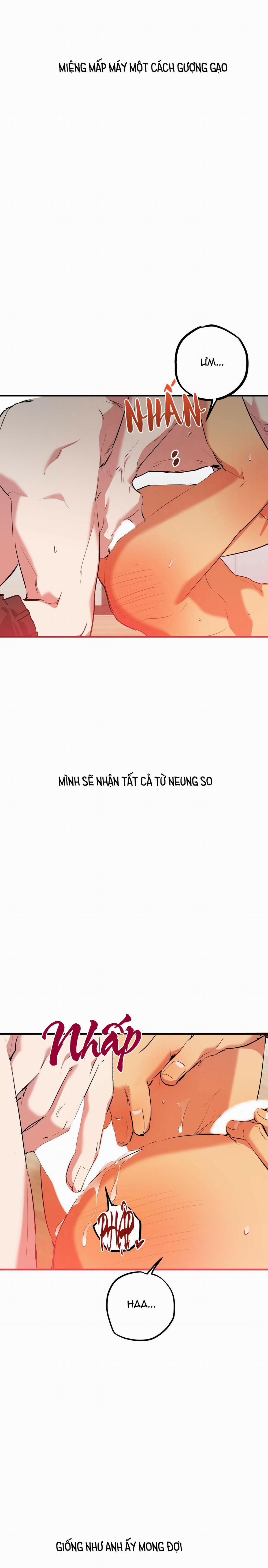 Những Chú Thỏ Của Habibi 43 trang 18