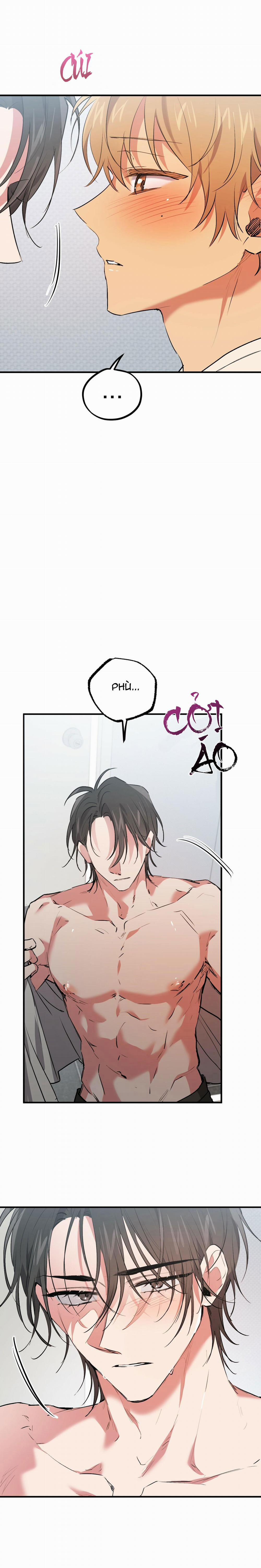 Những Chú Thỏ Của Habibi 43 trang 2