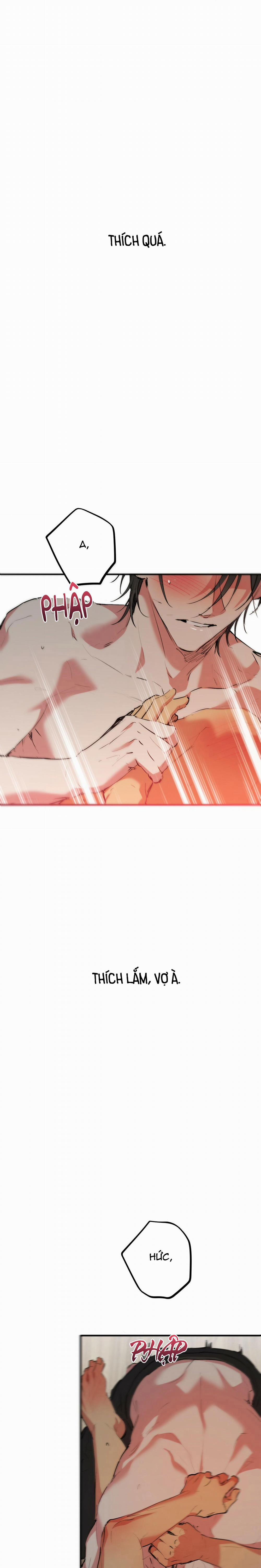 Những Chú Thỏ Của Habibi 43 trang 20