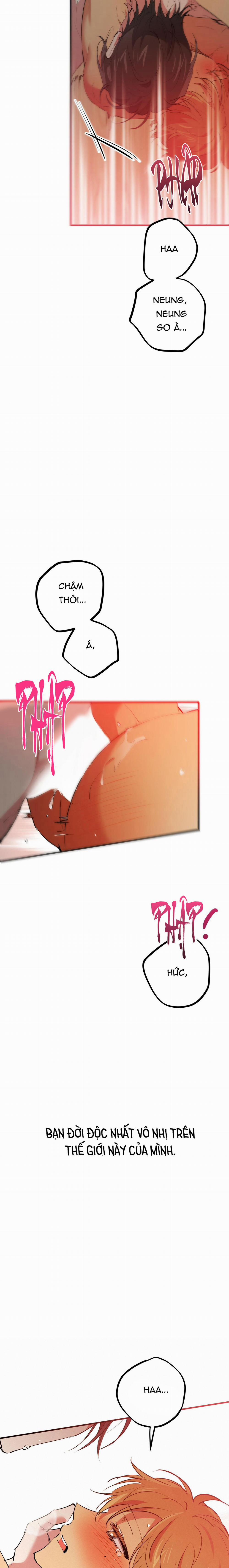 Những Chú Thỏ Của Habibi 43 trang 21