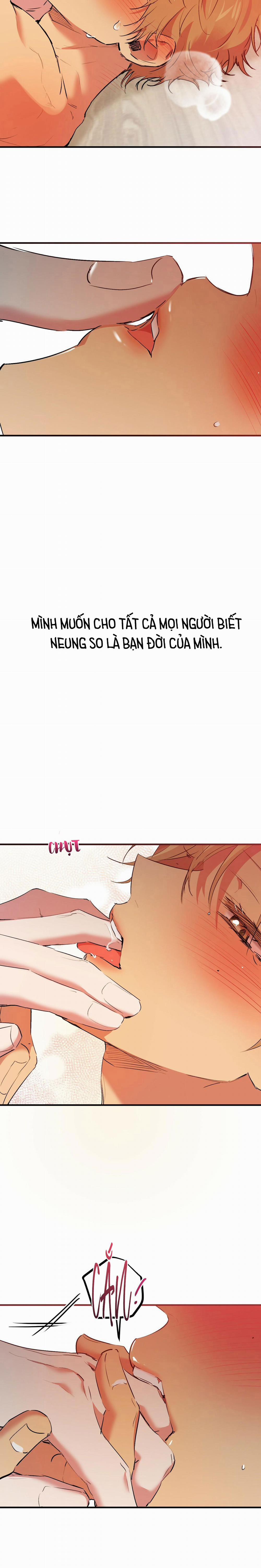 Những Chú Thỏ Của Habibi 43 trang 22