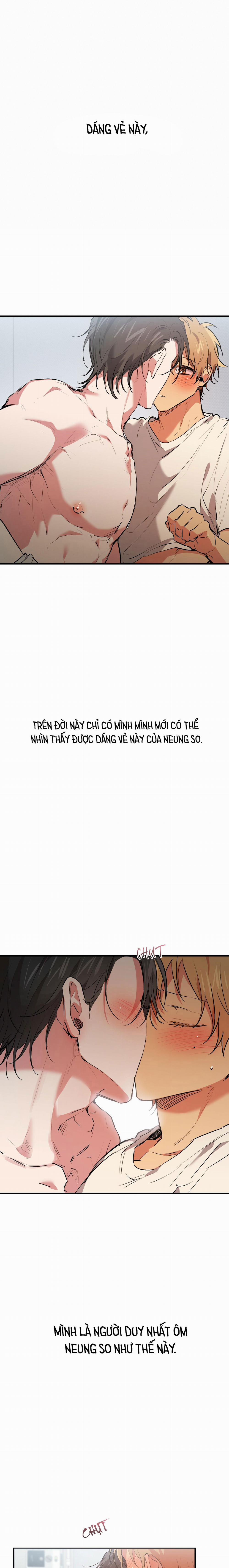 Những Chú Thỏ Của Habibi 43 trang 3