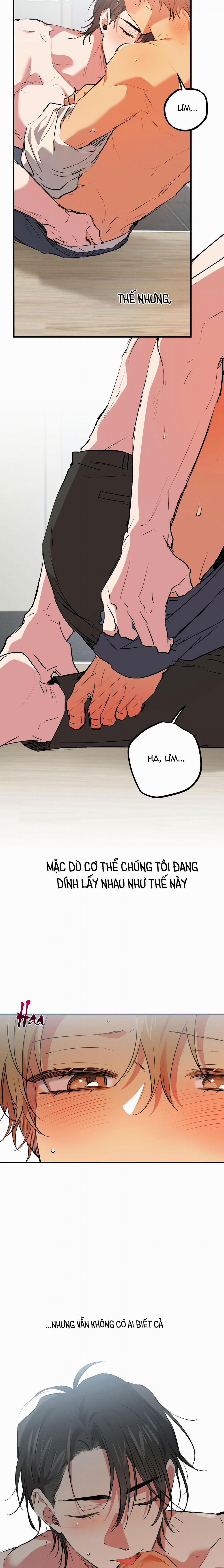 Những Chú Thỏ Của Habibi 43 trang 4