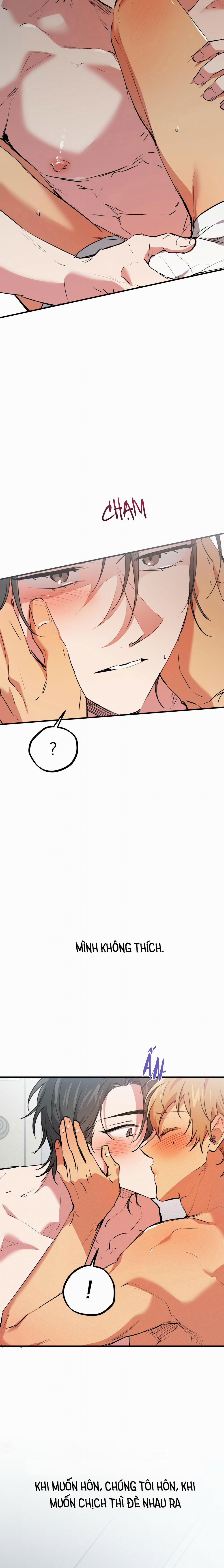 Những Chú Thỏ Của Habibi 43 trang 5