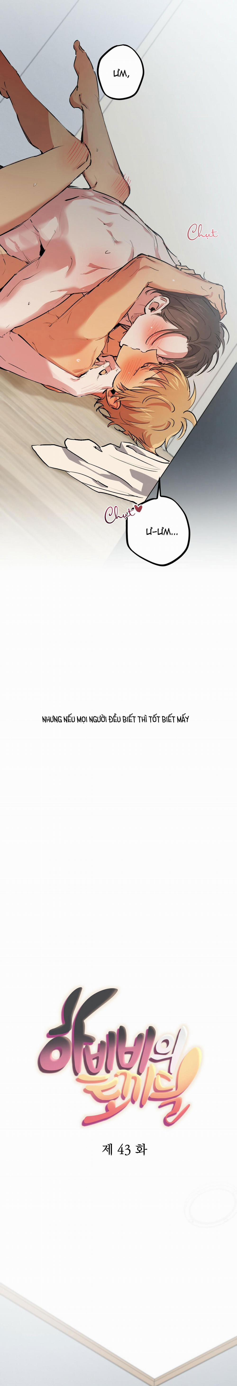 Những Chú Thỏ Của Habibi 43 trang 6