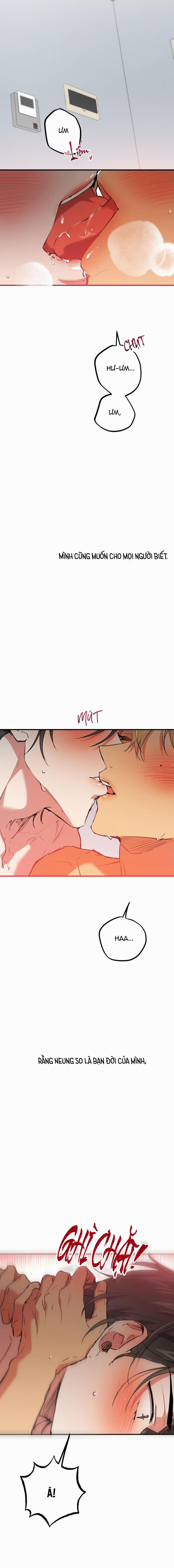 Những Chú Thỏ Của Habibi 43 trang 7