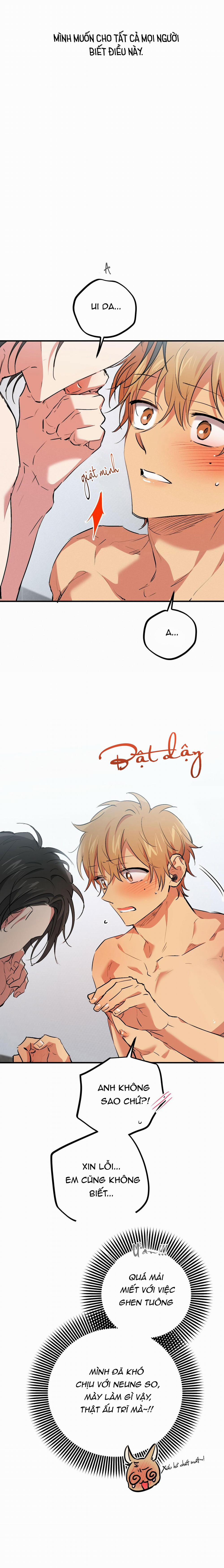 Những Chú Thỏ Của Habibi 43 trang 8