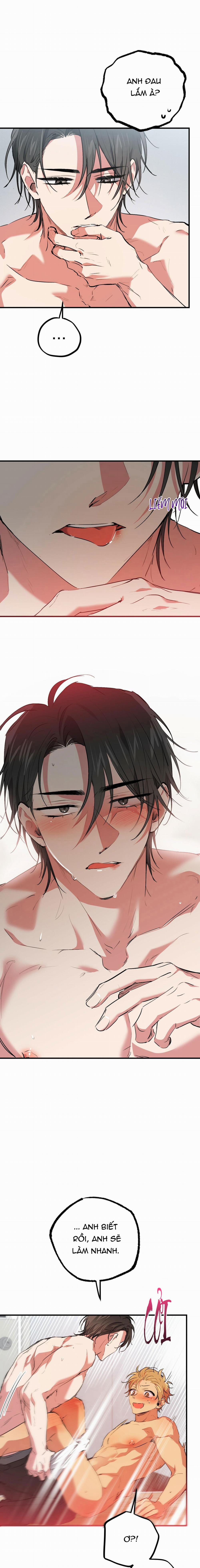 Những Chú Thỏ Của Habibi 43 trang 9