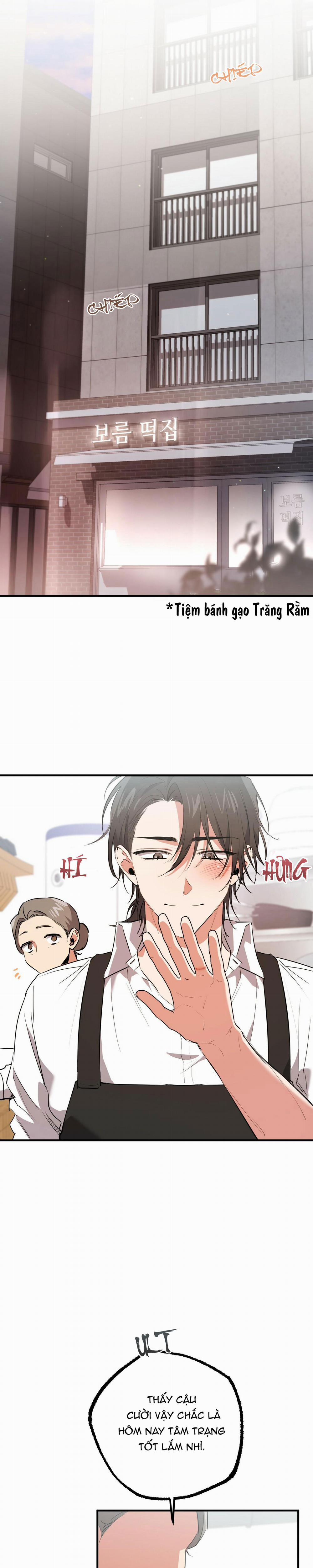 Những Chú Thỏ Của Habibi 44 trang 0