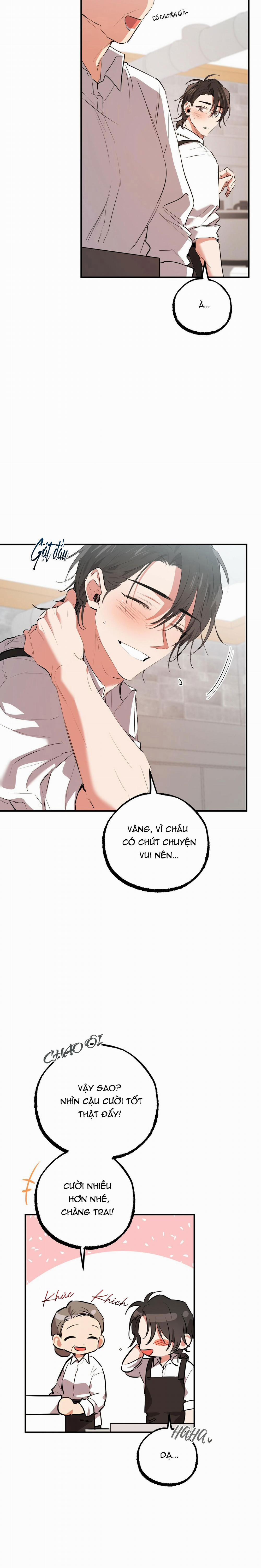 Những Chú Thỏ Của Habibi 44 trang 1