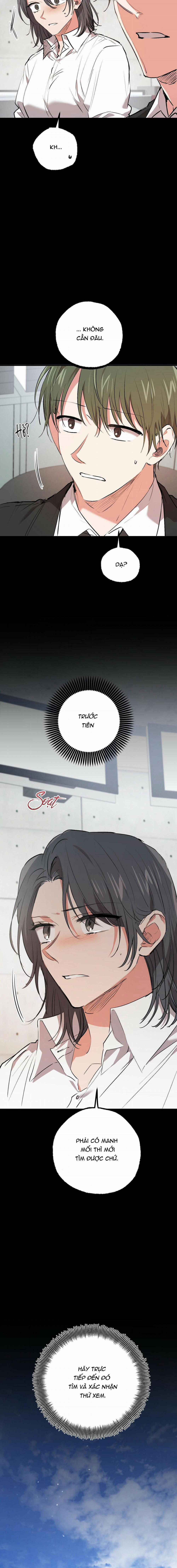 Những Chú Thỏ Của Habibi 44 trang 11