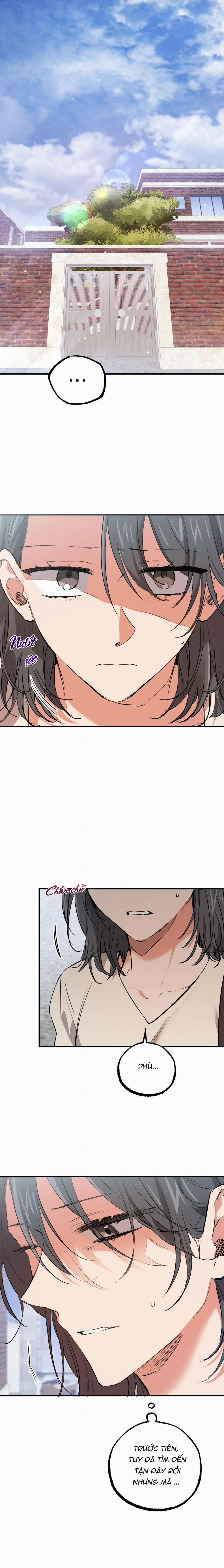 Những Chú Thỏ Của Habibi 44 trang 12