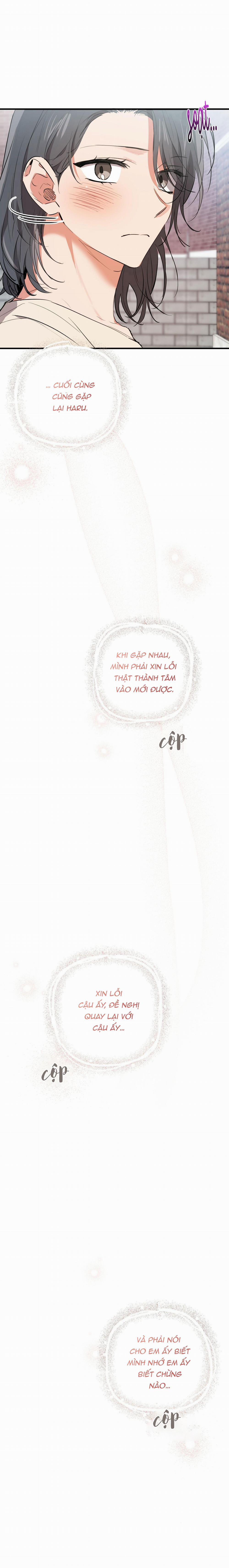 Những Chú Thỏ Của Habibi 44 trang 13