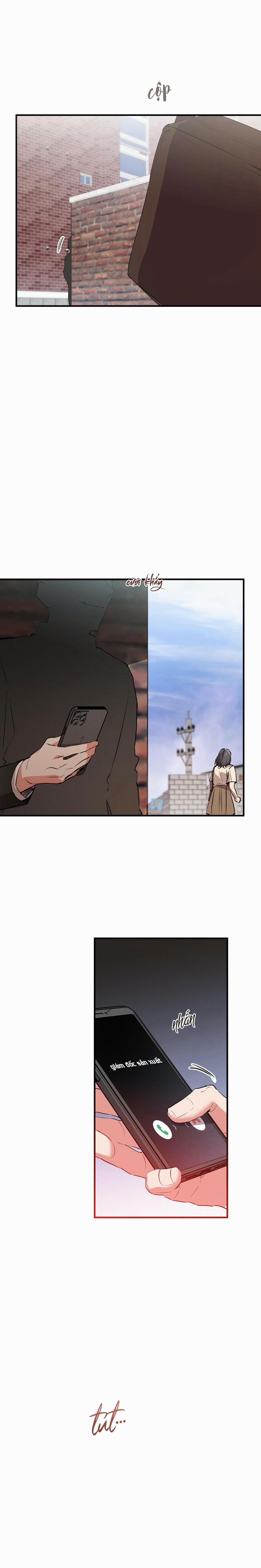 Những Chú Thỏ Của Habibi 44 trang 14