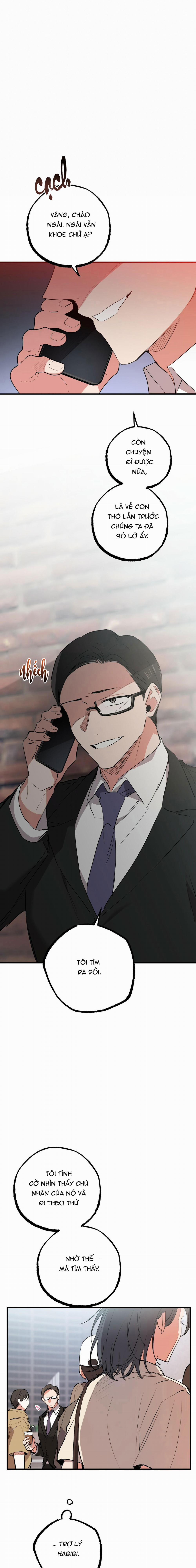 Những Chú Thỏ Của Habibi 44 trang 15