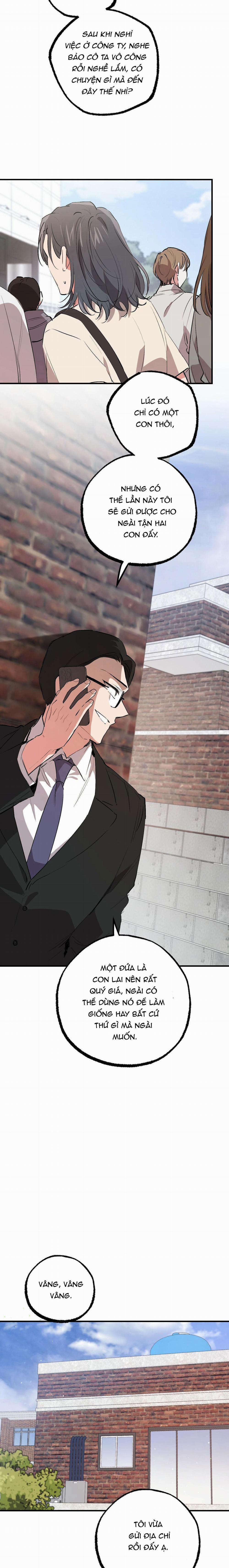 Những Chú Thỏ Của Habibi 44 trang 16