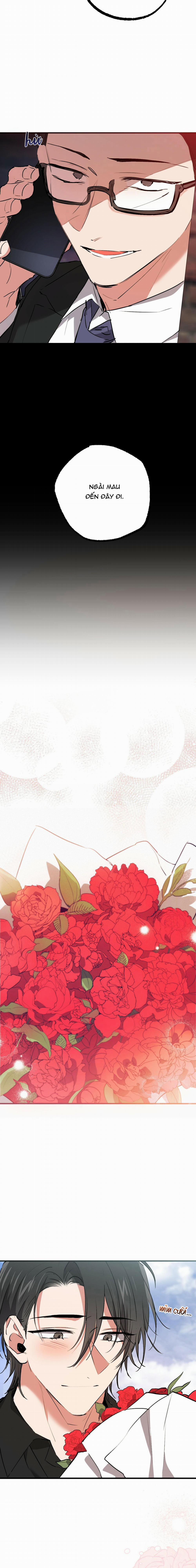 Những Chú Thỏ Của Habibi 44 trang 17