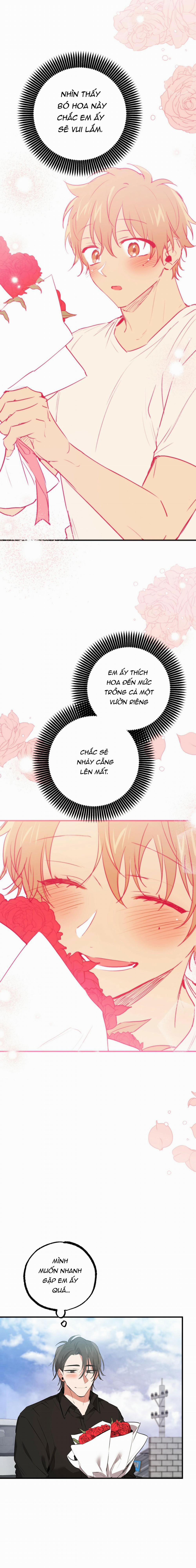 Những Chú Thỏ Của Habibi 44 trang 18