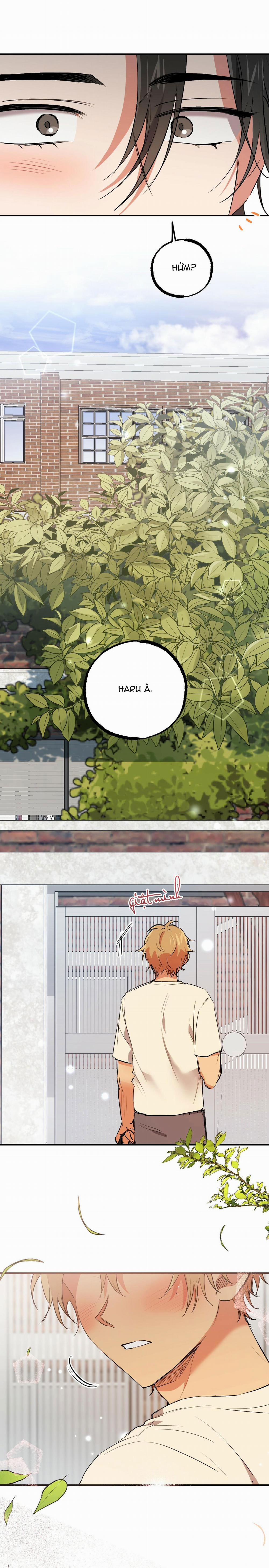 Những Chú Thỏ Của Habibi 44 trang 19