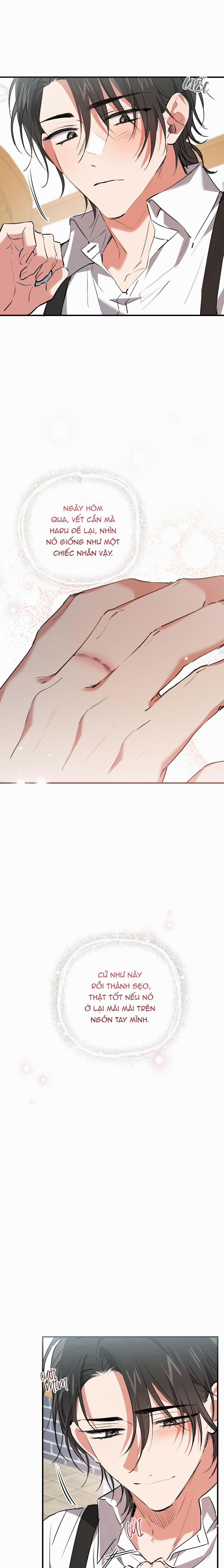 Những Chú Thỏ Của Habibi 44 trang 2