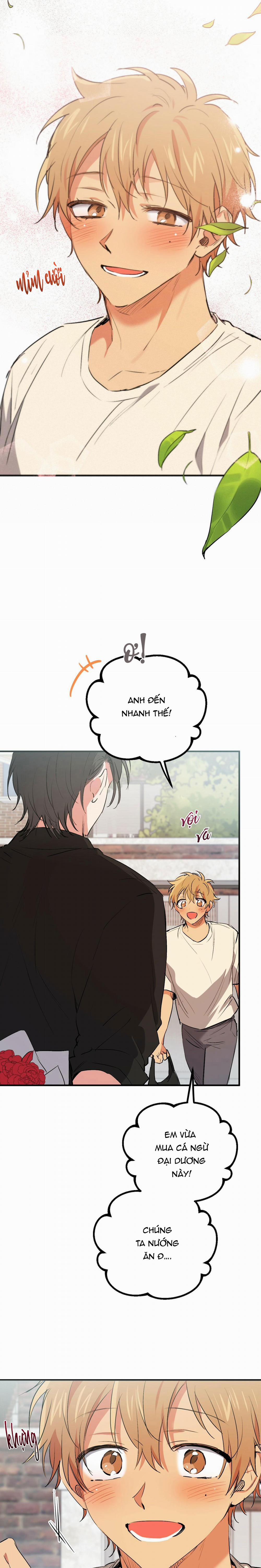 Những Chú Thỏ Của Habibi 44 trang 20