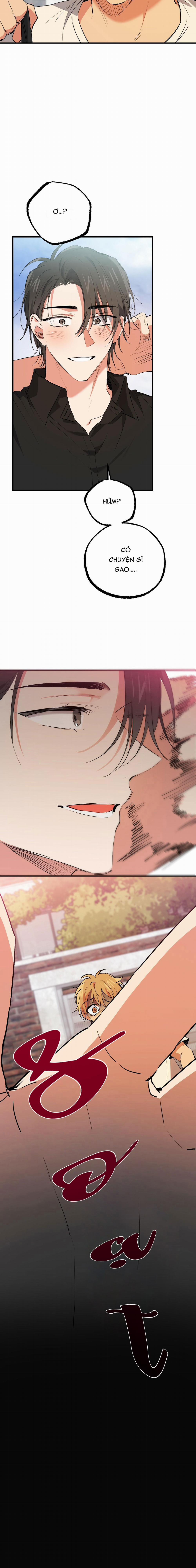 Những Chú Thỏ Của Habibi 44 trang 21