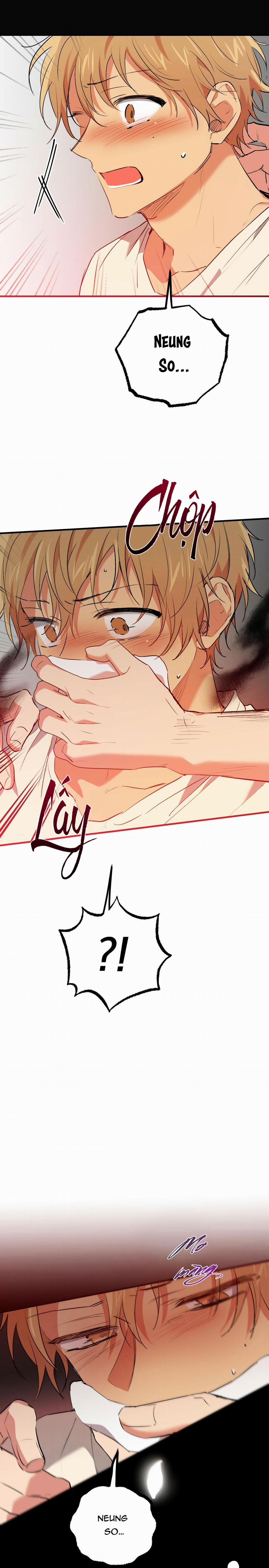 Những Chú Thỏ Của Habibi 44 trang 22