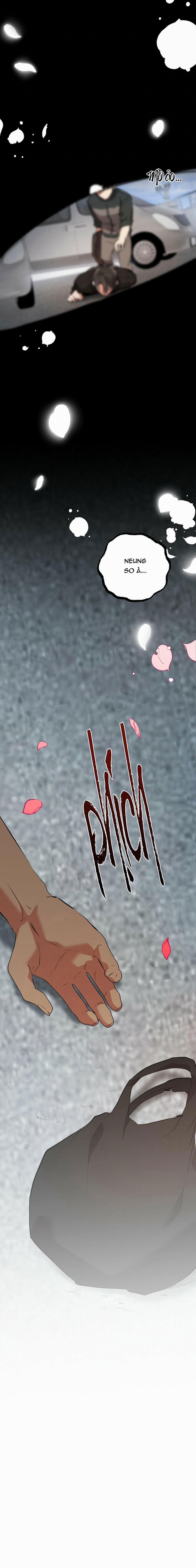 Những Chú Thỏ Của Habibi 44 trang 23