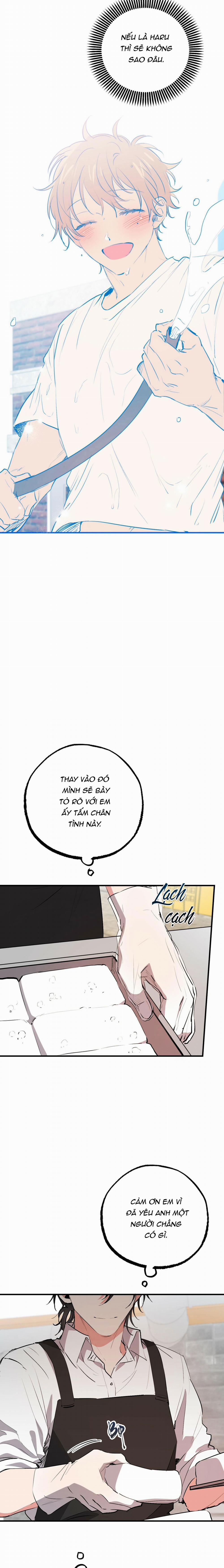 Những Chú Thỏ Của Habibi 44 trang 4