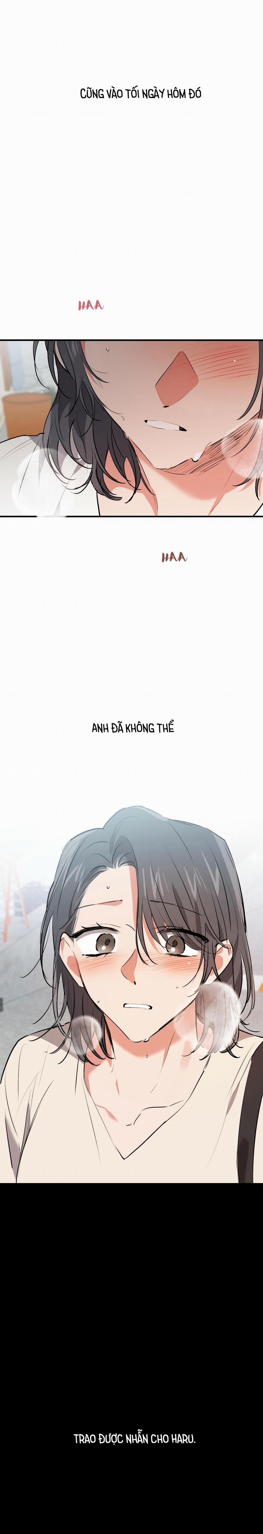 Những Chú Thỏ Của Habibi 44 trang 6