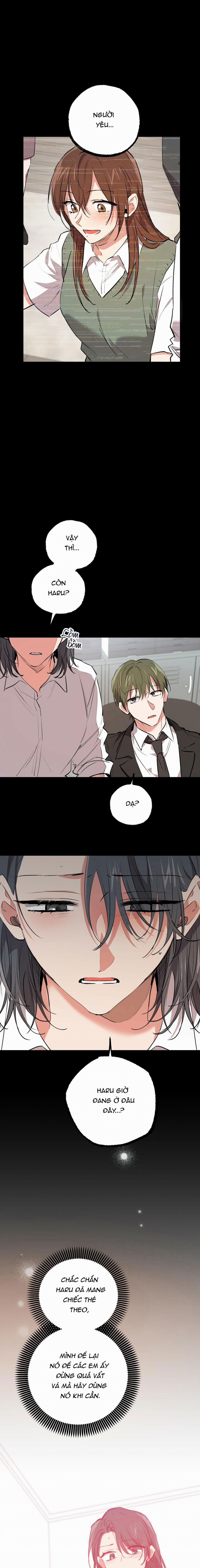 Những Chú Thỏ Của Habibi 44 trang 9