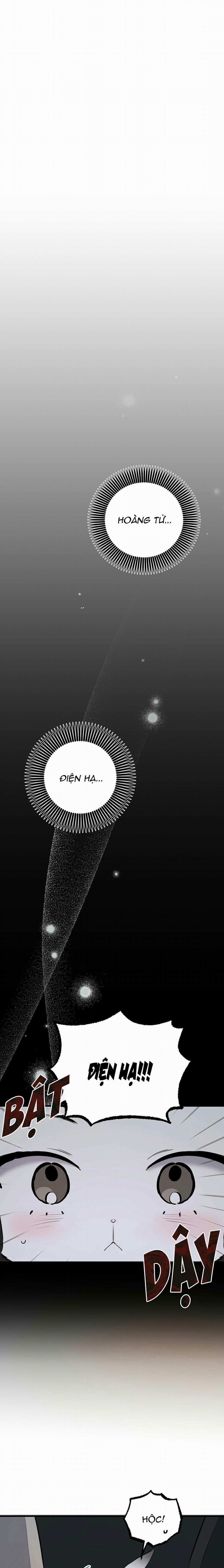 Những Chú Thỏ Của Habibi 46 trang 0