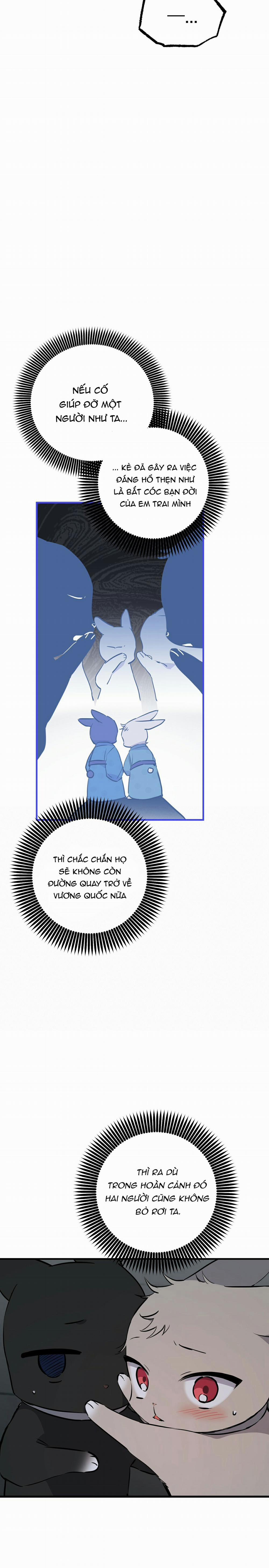 Những Chú Thỏ Của Habibi 46 trang 10