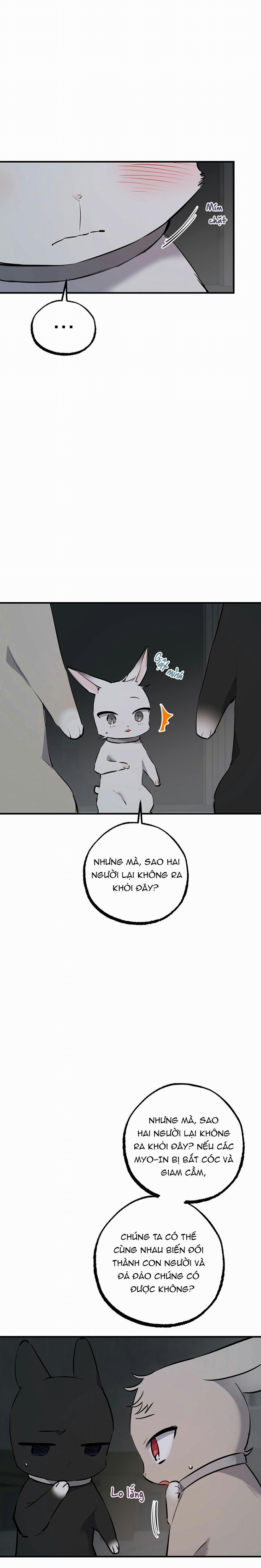 Những Chú Thỏ Của Habibi 46 trang 11